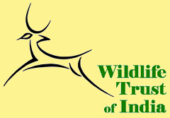 Internship in Noida – Media/Communications – Wildlife Trust of India