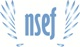 NSEF Authors of Change 2013 – summer internships in social enterprises