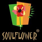 Accounting Internship – Soulflower – Mumbai