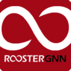 Work from Home Internship -Editor/Content Writer-ROOSTERGNN