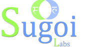 Internship in Bangalore – Web development – Sugoi Labs